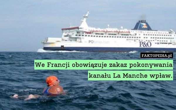We Francji obowiązuje zakaz pokonywania
kanału La Manche wpław. 