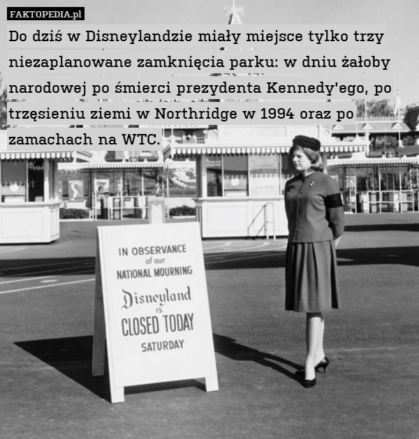 Do dziś w Disneylandzie miały miejsce tylko trzy niezaplanowane zamknięcia parku: w dniu żałoby narodowej po śmierci prezydenta Kennedy&apos;ego, po trzęsieniu ziemi w Northridge w 1994 oraz po zamachach na WTC. 