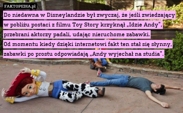 Do niedawna w Disneylandzie był zwyczaj, że jeśli zwiedzający w pobliżu postaci z filmu Toy Story krzyknął „Idzie Andy”, przebrani aktorzy padali, udając nieruchome zabawki.
Od momentu kiedy dzięki internetowi fakt ten stał się słynny, zabawki po prostu odpowiadają „Andy wyjechał na studia”. 