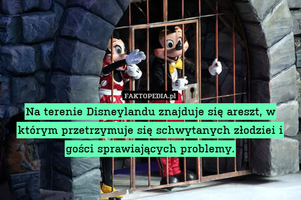Na terenie Disneylandu znajduje się areszt, w którym przetrzymuje się schwytanych złodziei i gości sprawiających problemy. 