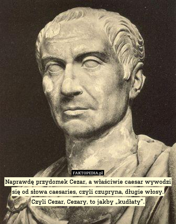 Naprawdę przydomek Cezar, a właściwie caesar wywodzi się od słowa caesaries, czyli czupryna, długie włosy.
Czyli Cezar, Cezary, to jakby „kudłaty”. 