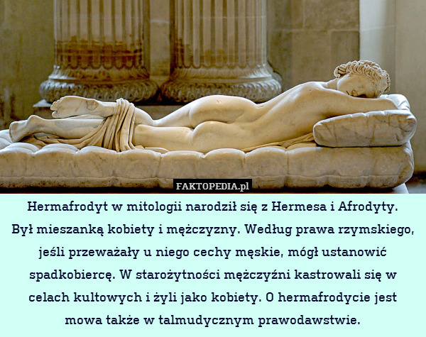 Hermafrodyt w mitologii narodził się z Hermesa i Afrodyty.
Był mieszanką kobiety i mężczyzny. Według prawa rzymskiego, jeśli przeważały u niego cechy męskie, mógł ustanowić spadkobiercę. W starożytności mężczyźni kastrowali się w celach kultowych i żyli jako kobiety. O hermafrodycie jest mowa także w talmudycznym prawodawstwie. 