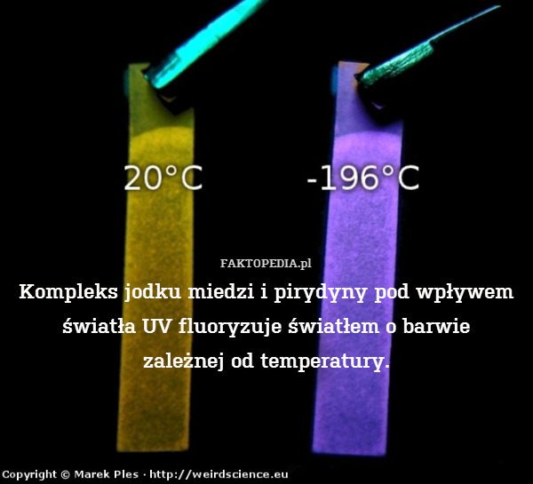 Kompleks jodku miedzi i pirydyny pod wpływem światła UV fluoryzuje światłem o barwie
zależnej od temperatury. 