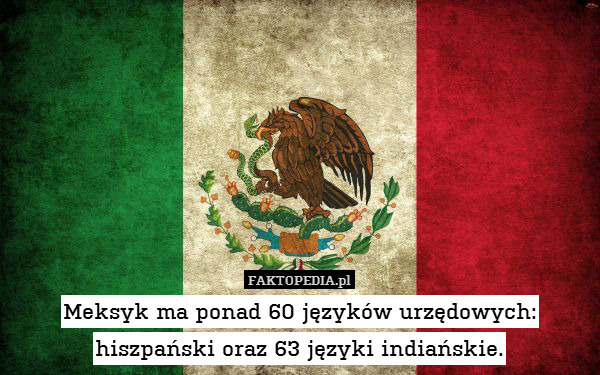 Meksyk ma ponad 60 języków urzędowych: hiszpański oraz 63 języki indiańskie. 