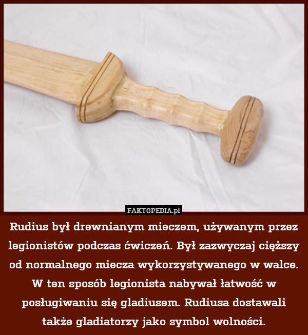 Rudius był drewnianym mieczem, używanym przez legionistów podczas ćwiczeń. Był zazwyczaj cięższy od normalnego miecza wykorzystywanego w walce. W ten sposób legionista nabywał łatwość w posługiwaniu się gladiusem. Rudiusa dostawali także gladiatorzy jako symbol wolności. 