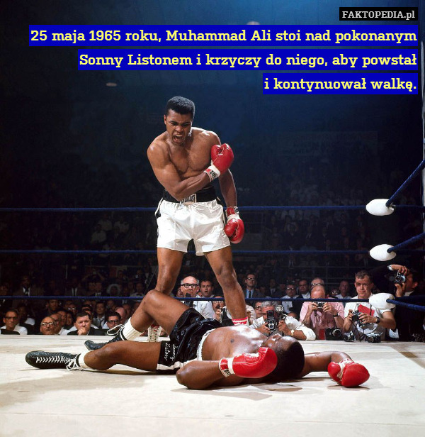 25 maja 1965 roku, Muhammad Ali stoi nad pokonanym Sonny Listonem i krzyczy do niego, aby powstał
i kontynuował walkę. 