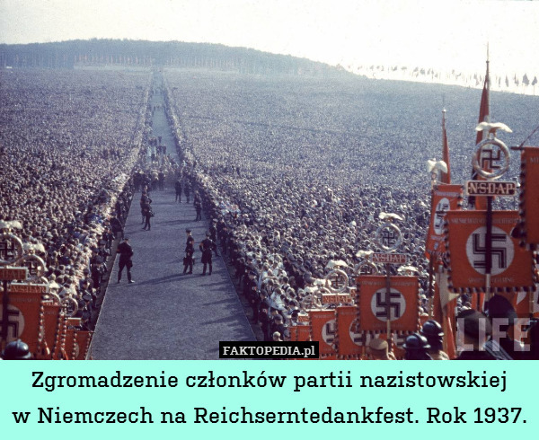Zgromadzenie członków partii nazistowskiej
w Niemczech na Reichserntedankfest. Rok 1937. 
