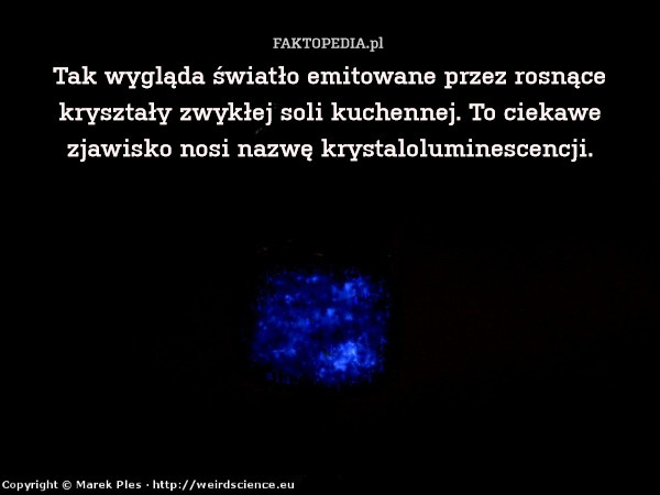 Tak wygląda światło emitowane przez rosnące kryształy zwykłej soli kuchennej. To ciekawe zjawisko nosi nazwę krystaloluminescencji. 