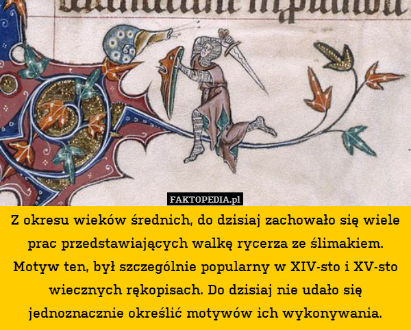 Z okresu wieków średnich, do dzisiaj zachowało się wiele prac przedstawiających walkę rycerza ze ślimakiem. Motyw ten, był szczególnie popularny w XIV-sto i XV-sto wiecznych rękopisach. Do dzisiaj nie udało się jednoznacznie określić motywów ich wykonywania. 