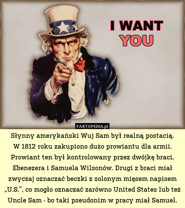 Słynny amerykański Wuj Sam był realną postacią.
W 1812 roku zakupiono dużo prowiantu dla armii. Prowiant ten był kontrolowany przez dwójkę braci, Ebenezera i Samuela Wilsonów. Drugi z braci miał zwyczaj oznaczać beczki z solonym mięsem napisem „U.S.”, co mogło oznaczać zarówno United States lub też Uncle Sam - bo taki pseudonim w pracy miał Samuel. 