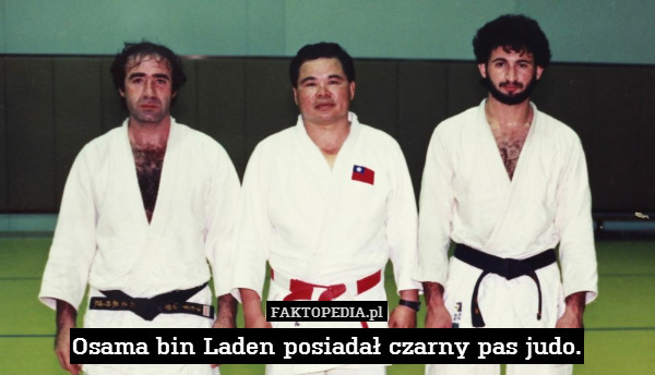 Osama bin Laden posiadał czarny pas judo. 