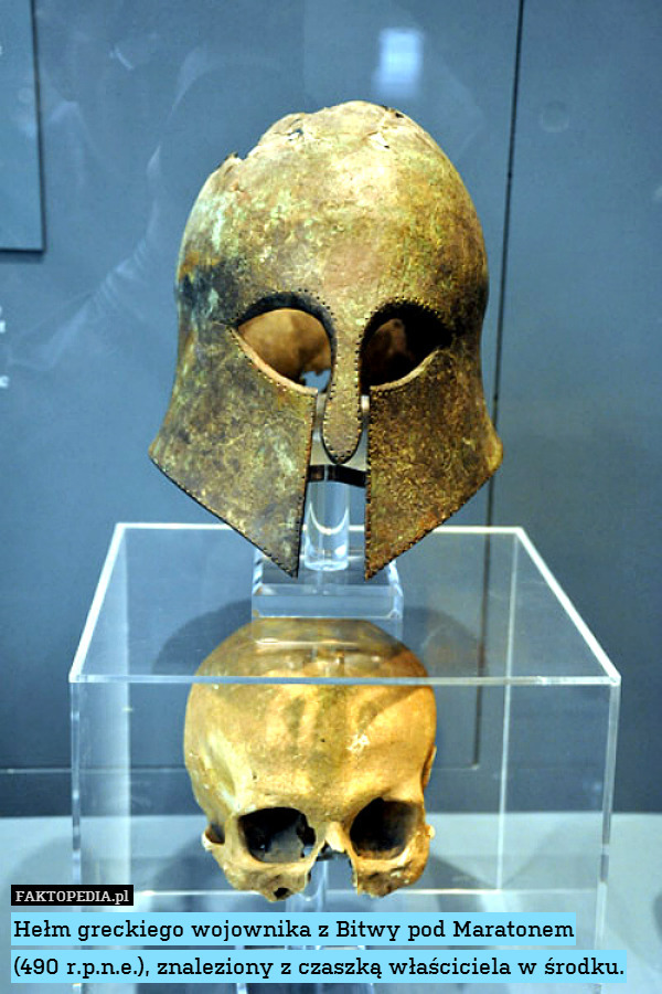 Hełm greckiego wojownika z Bitwy pod Maratonem
(490 r.p.n.e.), znaleziony z czaszką właściciela w środku. 