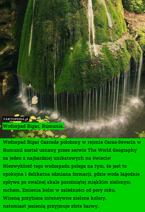 Wodospad Bigar, Rumunia.

Wodospad Bigar Cascade położony w rejonie Caras-Severin w Rumunii został uznany przez serwis The World Geography za jeden z najbardziej unikatowych na świecie!
Niezwykłość tego wodospadu polega na tym, że jest to spokojna i delikatna odmiana formacji, gdzie woda łagodnie spływa po owalnej skale porośniętej miękkim zielonym mchem. Zmienia kolor w zależności od pory roku.
Wiosną przybiera intensywne zielone kolory,
natomiast jesienią przyjmuje złote barwy. 