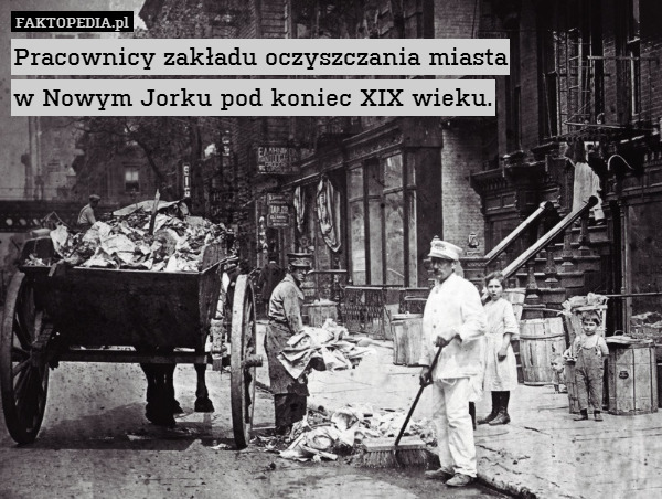 Pracownicy zakładu oczyszczania miasta
w Nowym Jorku pod koniec XIX wieku. 