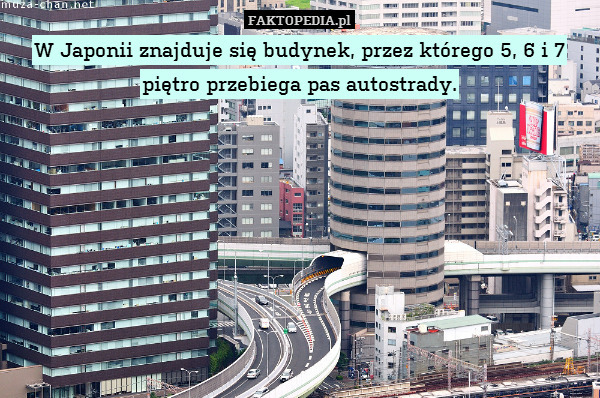 W Japonii znajduje się budynek, przez którego 5, 6 i 7 piętro przebiega pas autostrady. 