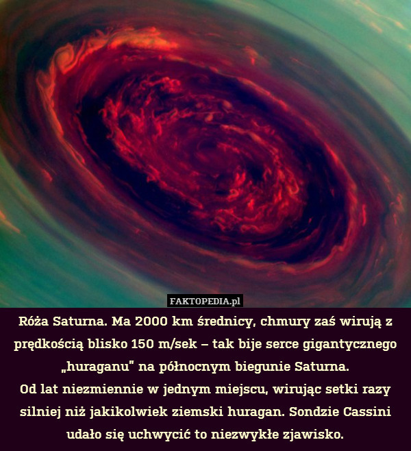 Róża Saturna. Ma 2000 km średnicy, chmury zaś wirują z prędkością blisko 150 m/sek – tak bije serce gigantycznego „huraganu” na północnym biegunie Saturna.
Od lat niezmiennie w jednym miejscu, wirując setki razy silniej niż jakikolwiek ziemski huragan. Sondzie Cassini udało się uchwycić to niezwykłe zjawisko. 