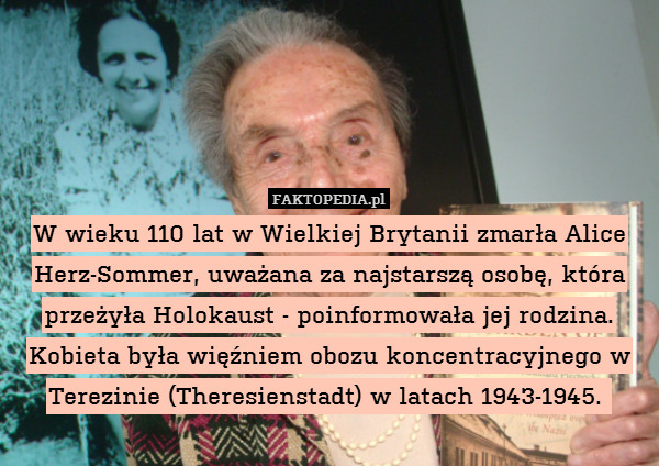 W wieku 110 lat w Wielkiej Brytanii zmarła Alice Herz-Sommer, uważana za najstarszą osobę, która przeżyła Holokaust - poinformowała jej rodzina. Kobieta była więźniem obozu koncentracyjnego w Terezinie (Theresienstadt) w latach 1943-1945. 
