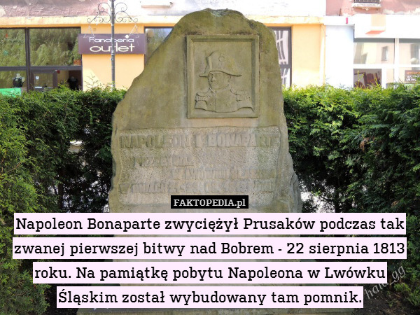 Napoleon Bonaparte zwyciężył Prusaków podczas tak zwanej pierwszej bitwy nad Bobrem - 22 sierpnia 1813 roku. Na pamiątkę pobytu Napoleona w Lwówku Śląskim został wybudowany tam pomnik. 