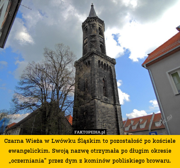 Czarna Wieża w Lwówku Śląskim to pozostałość po kościele ewangelickim. Swoją nazwę otrzymała po długim okresie „oczerniania” przez dym z kominów pobliskiego browaru. 