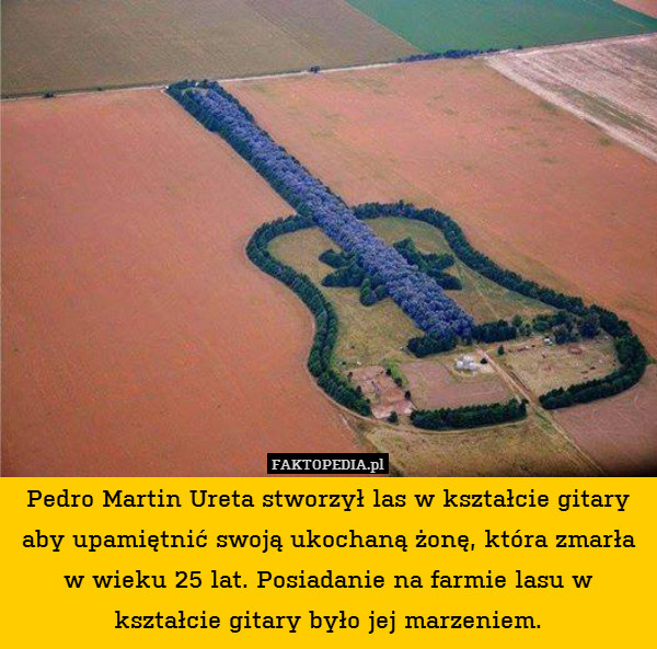 Pedro Martin Ureta stworzył las w kształcie gitary aby upamiętnić swoją ukochaną żonę, która zmarła w wieku 25 lat. Posiadanie na farmie lasu w kształcie gitary było jej marzeniem. 