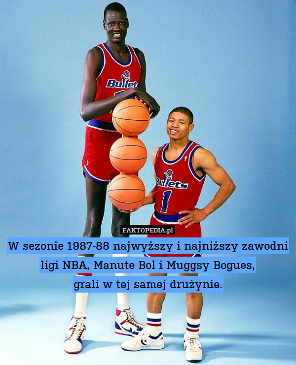 W sezonie 1987-88 najwyższy i najniższy zawodni ligi NBA, Manute Bol i Muggsy Bogues,
grali w tej samej drużynie. 