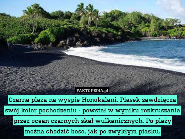 Czarna plaża na wyspie Honokalani. Piasek zawdzięcza swój kolor pochodzeniu - powstał w wyniku rozkruszania przez ocean czarnych skał wulkanicznych. Po plaży można chodzić boso, jak po zwykłym piasku. 