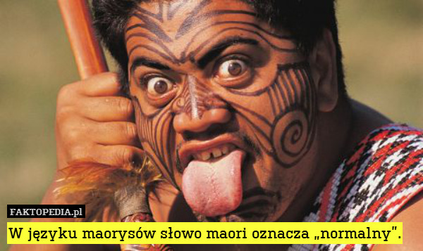 W języku maorysów słowo maori oznacza „normalny”. 