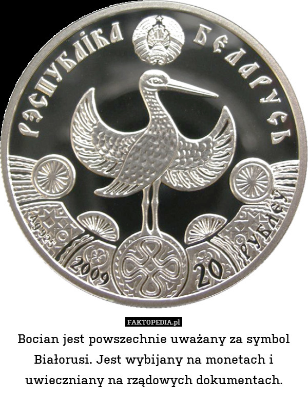 Bocian jest powszechnie uważany za symbol Białorusi. Jest wybijany na monetach i uwieczniany na rządowych dokumentach. 