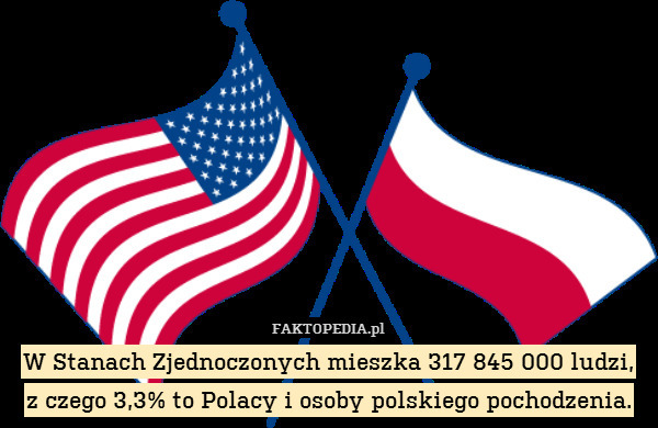 W Stanach Zjednoczonych mieszka 317 845 000 ludzi,
z czego 3,3% to Polacy i osoby polskiego pochodzenia. 