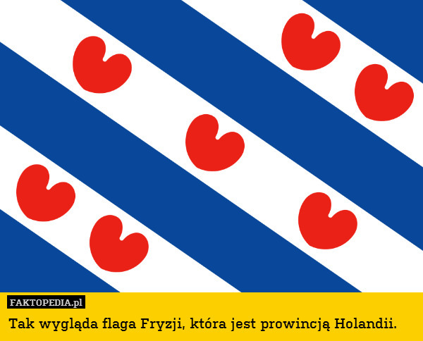 Tak wygląda flaga Fryzji, która jest prowincją Holandii. 