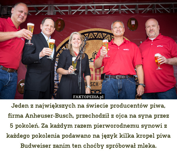 Jeden z największych na świecie producentów piwa, firma Anheuser-Busch, przechodził z ojca na syna przez
5 pokoleń. Za każdym razem pierworodnemu synowi z każdego pokolenia podawano na język kilka kropel piwa Budweiser zanim ten choćby spróbował mleka. 