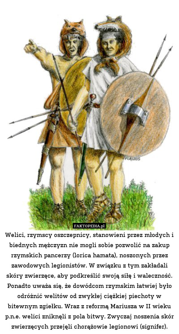 Welici, rzymscy oszczepnicy, stanowieni przez młodych i biednych mężczyzn nie mogli sobie pozwolić na zakup rzymskich pancerzy (lorica hamata), noszonych przez zawodowych legionistów. W związku z tym zakładali skóry zwierzęce, aby podkreślić swoją siłę i waleczność. Ponadto uważa się, że dowódcom rzymskim łatwiej było odróżnić welitów od zwykłej ciężkiej piechoty w bitewnym zgiełku. Wraz z reformą Mariusza w II wieku p.n.e. welici zniknęli z pola bitwy. Zwyczaj noszenia skór zwierzęcych przejęli chorążowie legionowi (signifer). 