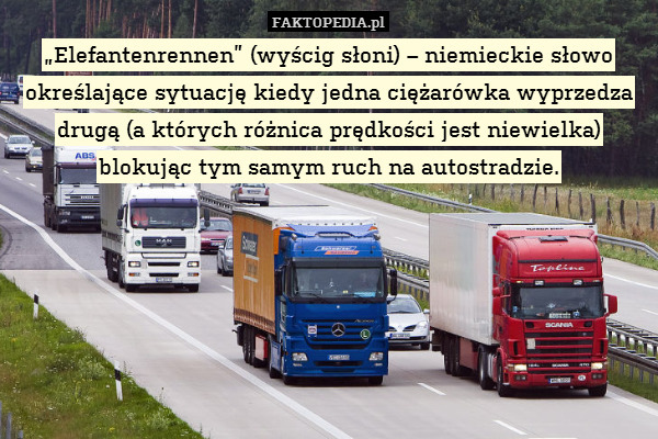 „Elefantenrennen” (wyścig słoni) – niemieckie słowo określające sytuację kiedy jedna ciężarówka wyprzedza drugą (a których różnica prędkości jest niewielka) blokując tym samym ruch na autostradzie. 
