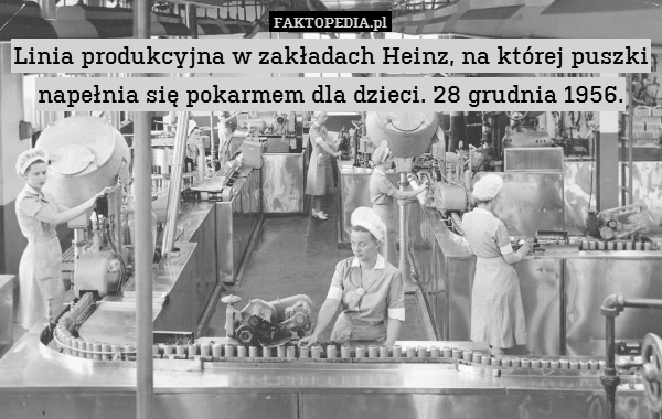 Linia produkcyjna w zakładach Heinz, na której puszki napełnia się pokarmem dla dzieci. 28 grudnia 1956. 