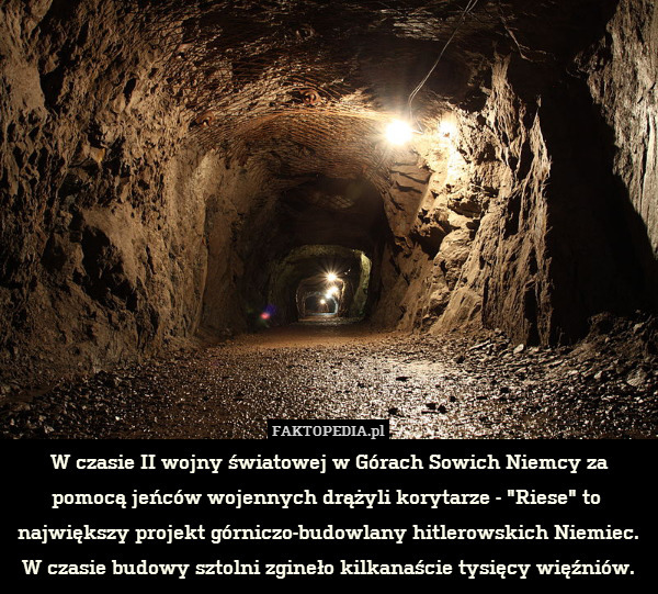 W czasie II wojny światowej w Górach Sowich Niemcy za pomocą jeńców wojennych drążyli korytarze - "Riese" to  największy projekt górniczo-budowlany hitlerowskich Niemiec. W czasie budowy sztolni zgineło kilkanaście tysięcy więźniów. 