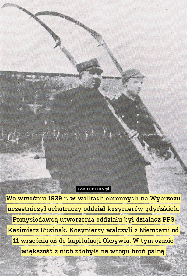 We wrześniu 1939 r. w walkach obronnych na Wybrzeżu uczestniczył ochotniczy oddział kosynierów gdyńskich. Pomysłodawcą utworzenia oddziału był działacz PPS Kazimierz Rusinek. Kosynierzy walczyli z Niemcami od
11 września aż do kapitulacji Oksywia. W tym czasie większość z nich zdobyła na wrogu broń palną. 