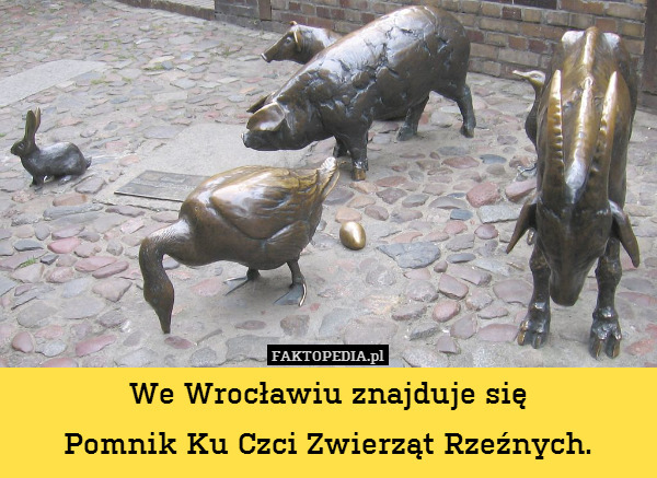 We Wrocławiu znajduje się
Pomnik Ku Czci Zwierząt Rzeźnych. 