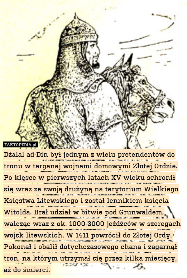 Dżalal ad-Din był jednym z wielu pretendentów do tronu w targanej wojnami domowymi Złotej Ordzie. Po klęsce w pierwszych latach XV wieku schronił się wraz ze swoją drużyną na terytorium Wielkiego Księstwa Litewskiego i został lennikiem księcia Witolda. Brał udział w bitwie pod Grunwaldem, walcząc wraz z ok. 1000-3000 jeźdźców w szeregach wojsk litewskich. W 1411 powrócił do Złotej Ordy. Pokonał i obalił dotychczasowego chana i zagarnął tron, na którym utrzymał się przez kilka miesięcy, aż do śmierci. 
