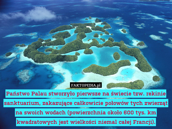 Państwo Palau stworzyło pierwsze na świecie tzw. rekinie sanktuarium, zakazujące całkowicie połowów tych zwierząt na swoich wodach (powierzchnia około 600 tys. km kwadratowych jest wielkości niemal całej Francji). 