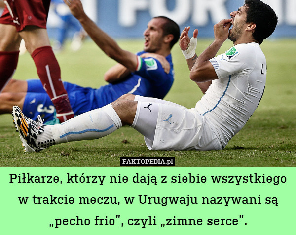 Piłkarze, którzy nie dają z siebie wszystkiego w trakcie meczu, w Urugwaju nazywani są „pecho frio”, czyli „zimne serce”. 