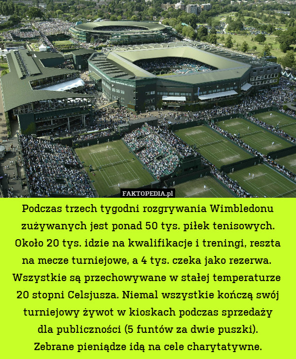 Podczas trzech tygodni rozgrywania Wimbledonu zużywanych jest ponad 50 tys. piłek tenisowych.
Około 20 tys. idzie na kwalifikacje i treningi, reszta
na mecze turniejowe, a 4 tys. czeka jako rezerwa. 
Wszystkie są przechowywane w stałej temperaturze 
20 stopni Celsjusza. Niemal wszystkie kończą swój turniejowy żywot w kioskach podczas sprzedaży
dla publiczności (5 funtów za dwie puszki).
Zebrane pieniądze idą na cele charytatywne. 