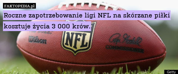 Roczne zapotrzebowanie ligi NFL na skórzane piłki kosztuje życia 3 000 krów. 