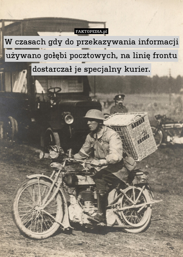 W czasach gdy do przekazywania informacji używano gołębi pocztowych, na linię frontu dostarczał je specjalny kurier. 