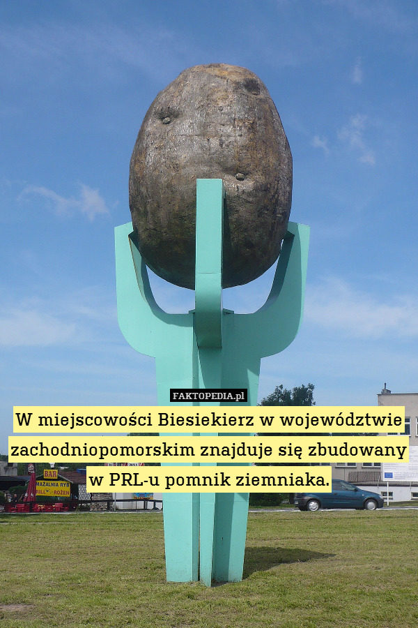 W miejscowości Biesiekierz w województwie zachodniopomorskim znajduje się zbudowany w PRL-u pomnik ziemniaka. 