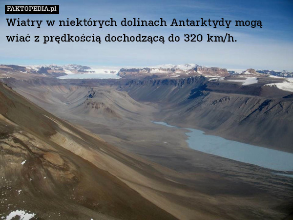 Wiatry w niektórych dolinach Antarktydy mogą wiać z prędkością dochodzącą do 320 km/h. 