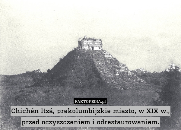 Chichén Itzá, prekolumbijskie miasto, w XIX w., przed oczyszczeniem i odrestaurowaniem. 