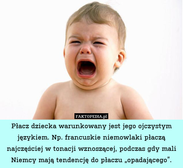 Płacz dziecka warunkowany jest jego ojczystym językiem. Np. francuskie niemowlaki płaczą najczęściej w tonacji wznoszącej, podczas gdy mali Niemcy mają tendencję do płaczu „opadającego”. 