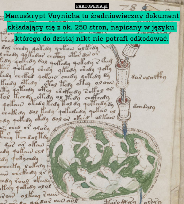 Manuskrypt Voynicha to średniowieczny dokument składający się z ok. 250 stron, napisany w języku, którego do dzisiaj nikt nie potrafi odkodować. 