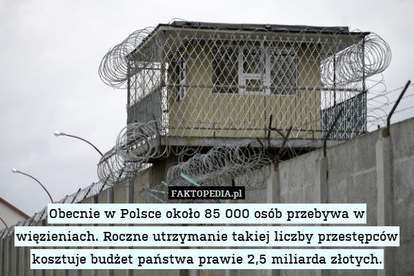 Obecnie w Polsce około 85 000 osób przebywa w więzieniach. Roczne utrzymanie takiej liczby przestępców kosztuje budżet państwa prawie 2,5 miliarda złotych. 