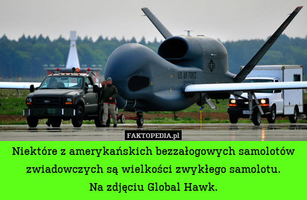 Niektóre z amerykańskich bezzałogowych samolotów zwiadowczych są wielkości zwykłego samolotu.
Na zdjęciu Global Hawk. 